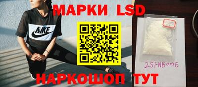 прущие грибы Будённовск