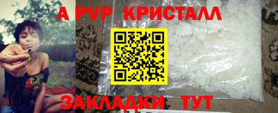прущие грибы Будённовск