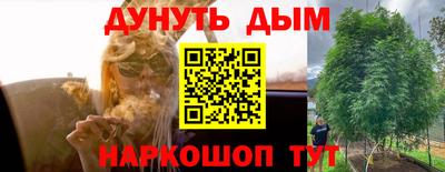 прущие грибы Будённовск