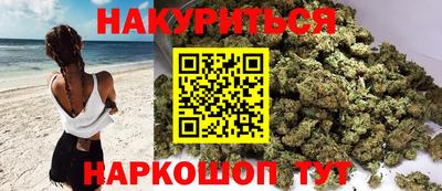 прущие грибы Будённовск