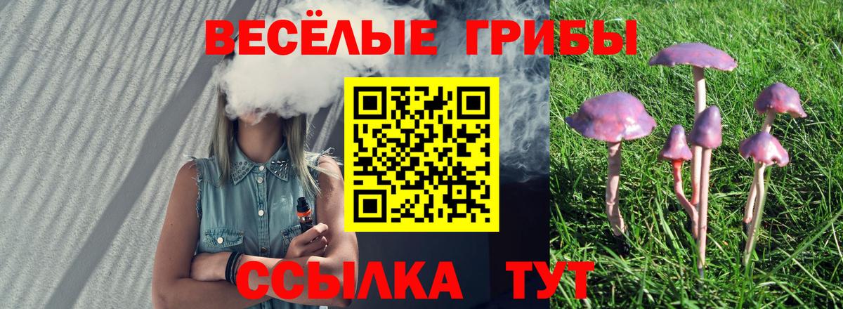 Озёры  закладки  Вход с VPN  Галлюциногенные грибы ЛСД  Псилоцибиновые грибы Cubensis 